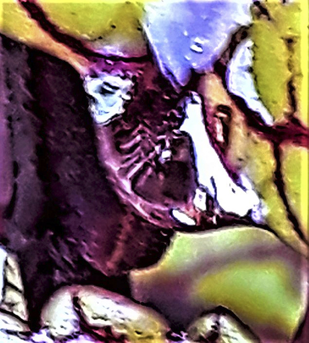 imagen 2. alejandra torres 1